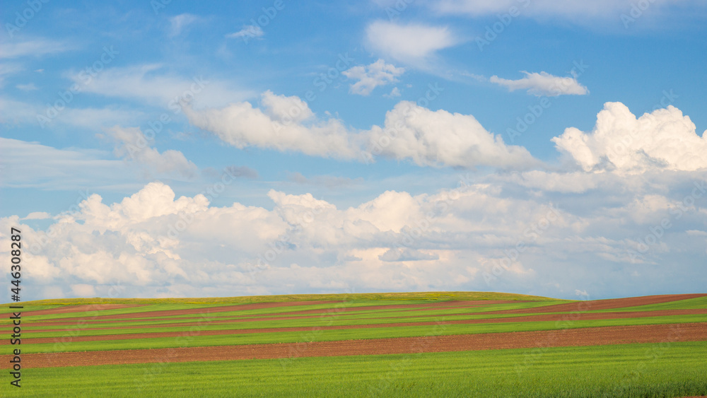 Picturesque summer landscape with green field, plowed land and fluffy cumulus clouds Picturesque summer landscape with green field, plowed land and fluffy cumulus clouds
