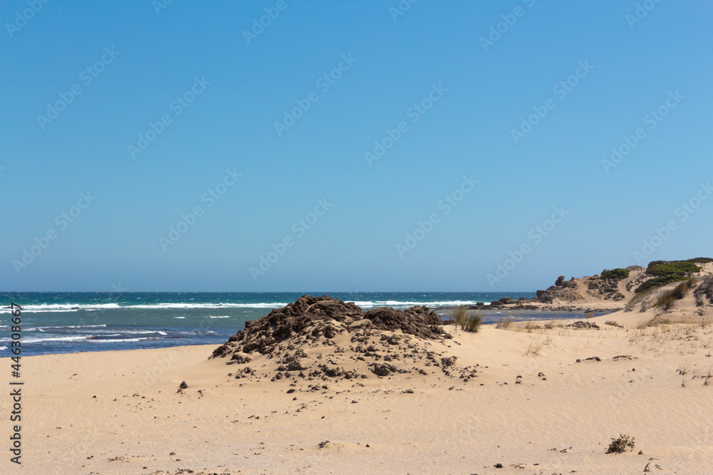 Beach landscape with fine sand, clear waters and plants. Dunes. Virgin beach.