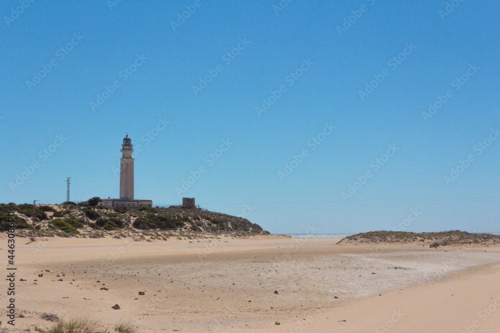 Beach landscape with lighthouse in the background.