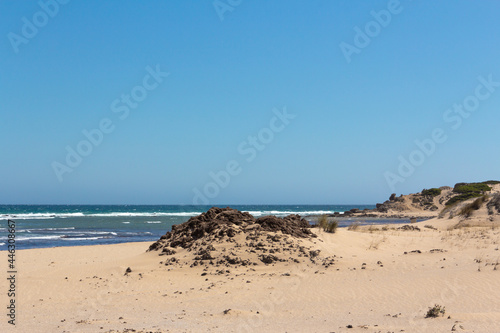 Beach landscape with fine sand, clear waters and plants. Dunes. Virgin beach.