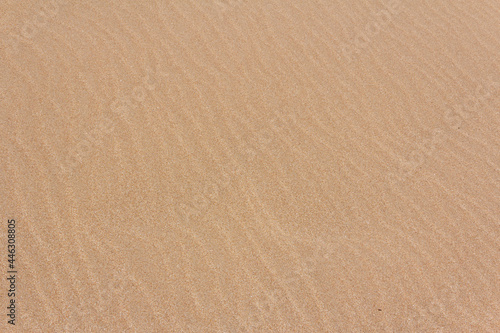 Texture of fine beach sand. Background.