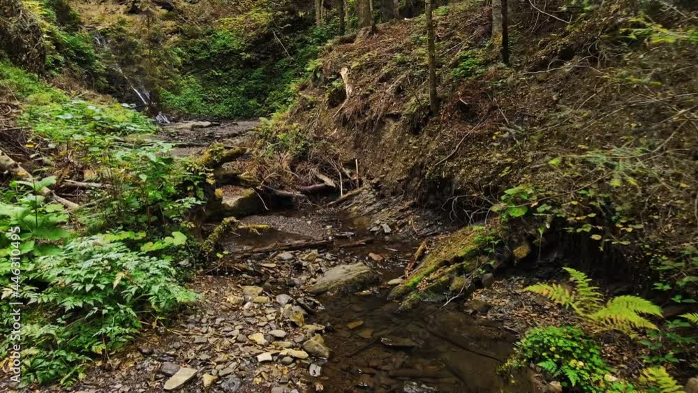 view of small canyon in forest with little river creek view of small canyon in forest with little river creek