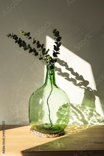 Demijohn vase with eucalyptus branches. Decorative glass vase. Interior and object photography photo