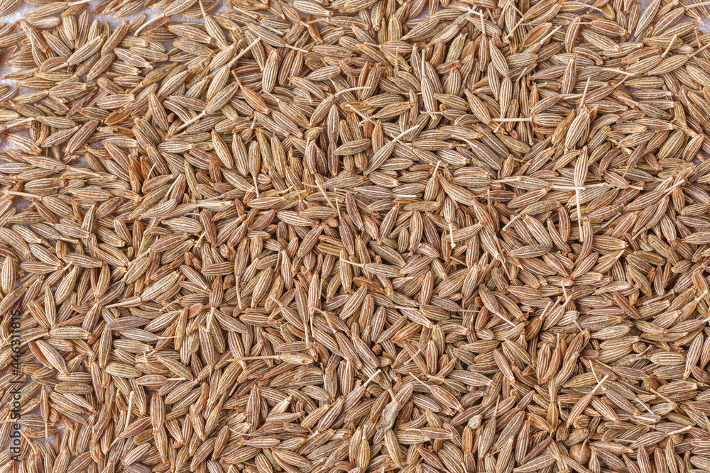 Cumin seed,Indian spices ;arranged on a white textured background which is mainly used for indian foods and traditional medicins.Textures of colorful spices and condiments. Cumin seed,Indian spices ;arranged on a white textured background which is mainly used for indian foods and traditional medicins.Textures of colorful spices and condiments.