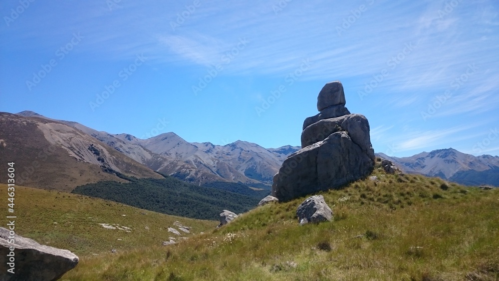 boulder
Castle Hill, New Zealand