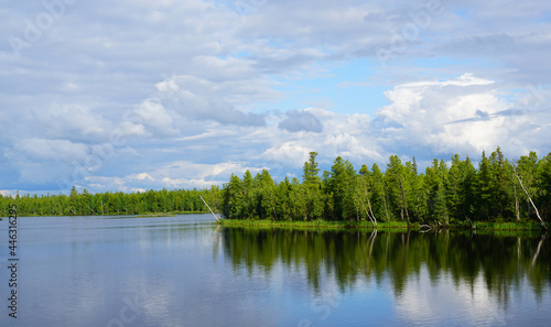 summer river green forest in the distance blue sky beautiful landscape