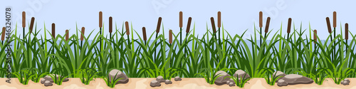 Reeds in green grass near river or lake, rock stones on sand. Repeat seamless landscape for cartoon or game background. Summes scne with grass and cattail reeds. Vector illustration photo