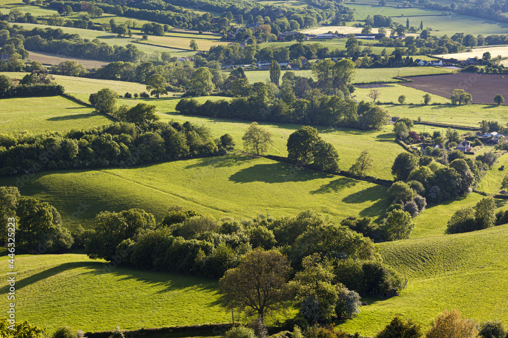 Farmland in the Severn Vale near Far Green, Coaley, Gloucestershire UK