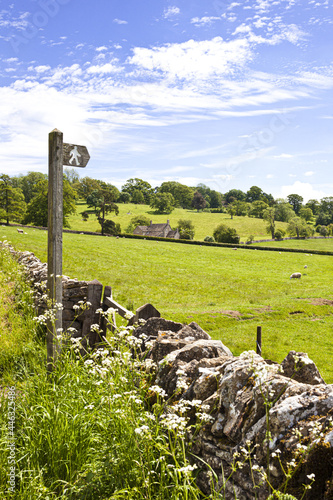 Obraz na płótnie A public footpath on the Cotswolds near Stowell, Gloucestershire UK w salonie