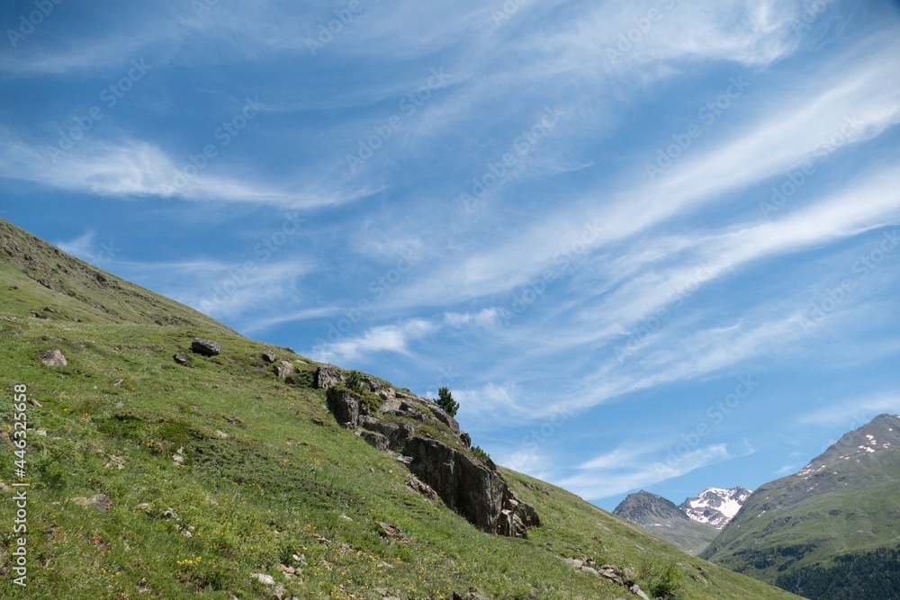 beautiful summer scenery in otztal alps in austria
