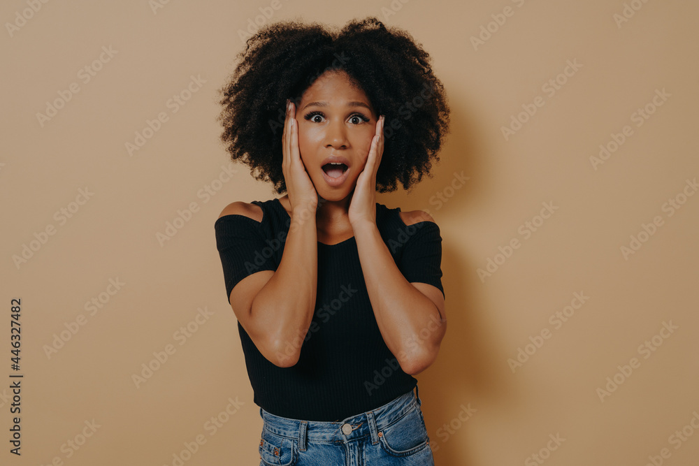 Photo of shocked pretty dark skinned curly haired lady holding hands on cheekbones Photo of shocked pretty dark skinned curly haired lady holding hands on cheekbones