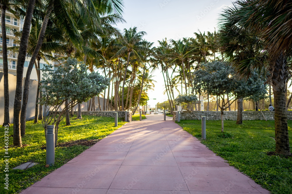Beach access path in Miami Beach FL