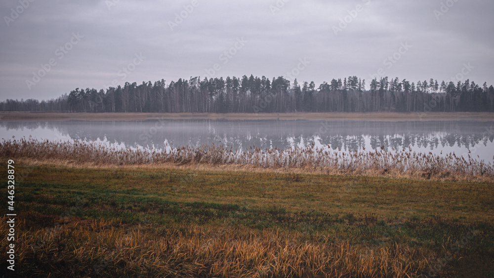 clear lake in cold late autumn morning. Misty fog over water. Meadow with dry grass in front. Coniferous forest reflects in smooth mirror water. Grey autumn morning sky