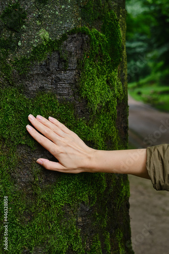 Girl hand touches a tree with moss in the wild forest. Forest ecology. Wild nature, wild life. Earth Day. Traveler girl in a beautiful green forest. Conservation, ecology, environment concept