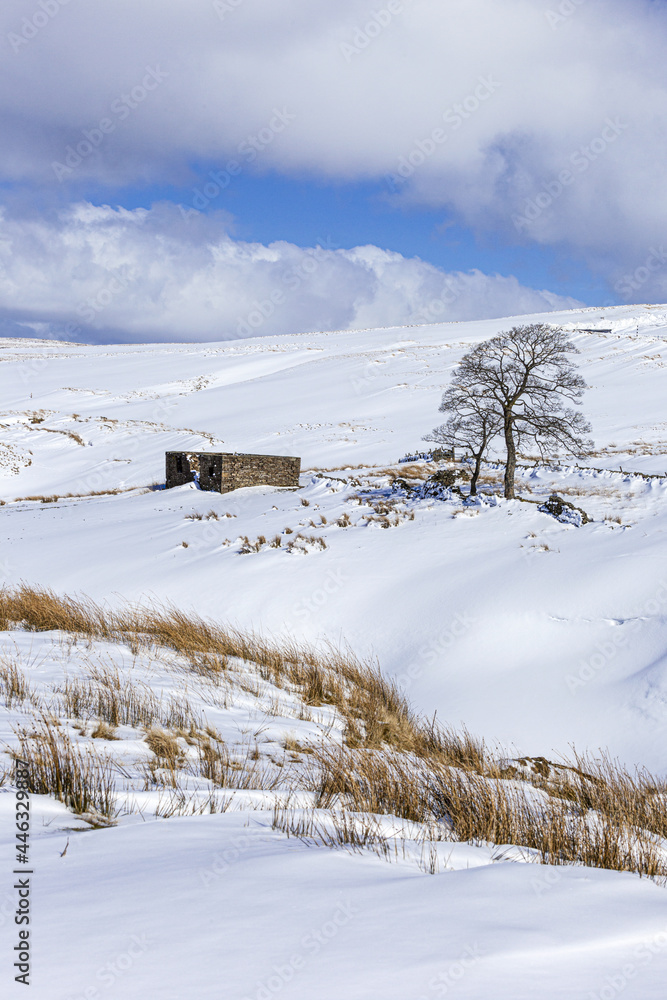 Winter in the Pennines - A snowy landscape near Coalcleugh, Northumberland UK Winter in the Pennines - A snowy landscape near Coalcleugh, Northumberland UK
