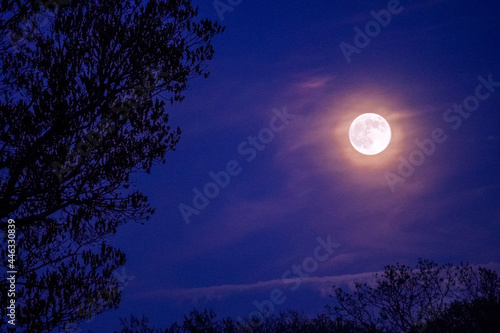 full moon over the sky © Danielle