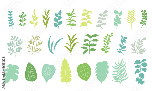 手書きタッチの様々な種類の草木。緑のハーブイラストセット。　Various types of vegetation with a handwritten touch. Green herb illustration set.