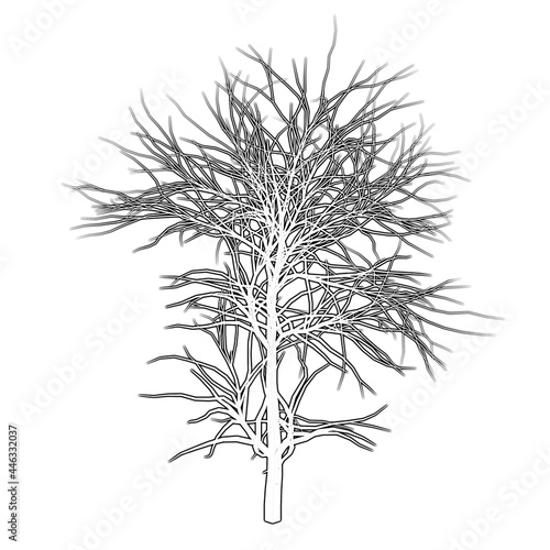 Tree Line Icons design black. Hand drawn tree. Drawing tree  sketch.