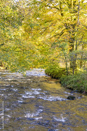The River Barle on Exmoor National Park just downstream of Tarr Steps, Liscombe, Somerset UK