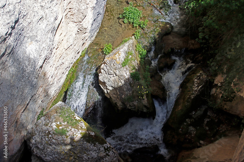 Moss on the rock