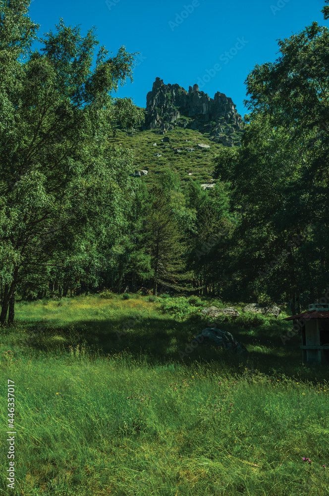 Obraz premium Rocky cliffs and lawn on a glade at forest fringe, in the highlands of the Serra da Estrela. The highest mountain range in continental Portugal.