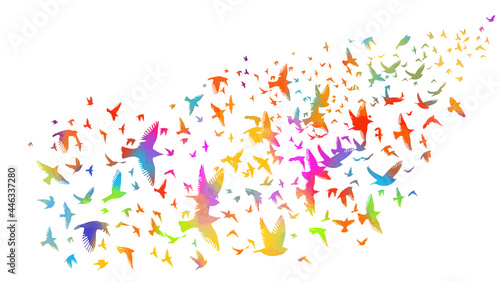 A flock of colorful birds. Vector illustration