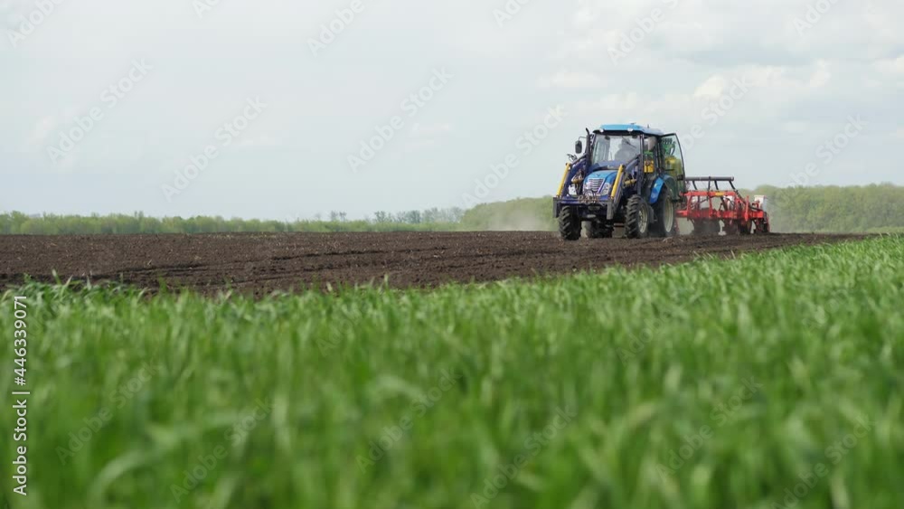 Tractor with a seeder drives in the field, sows, green wheat in the foreground Tractor with a seeder drives in the field, sows, green wheat in the foreground