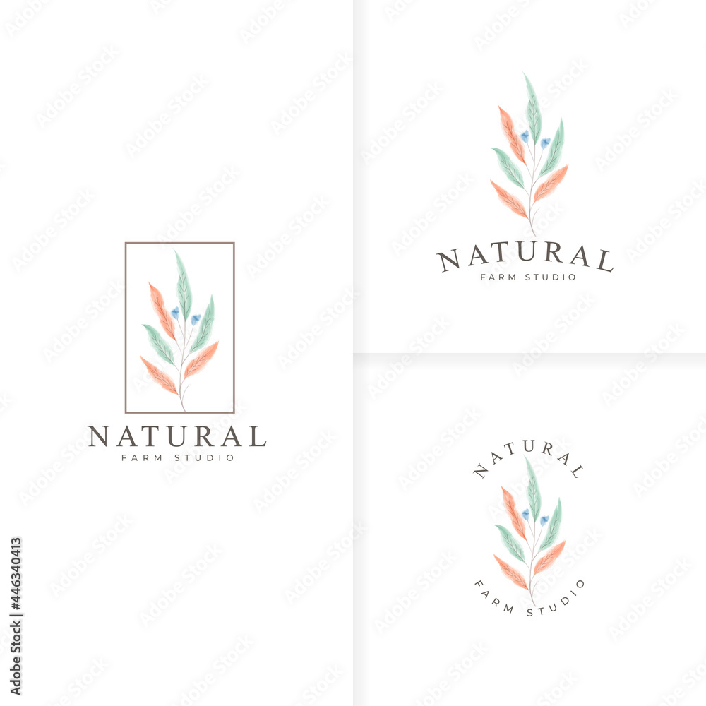 Fototapeta premium Beautiful hand drawn botanical logo collection
