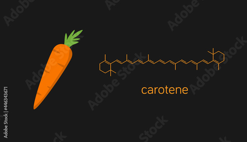 Vector illustration of carrot and carotene molecule.