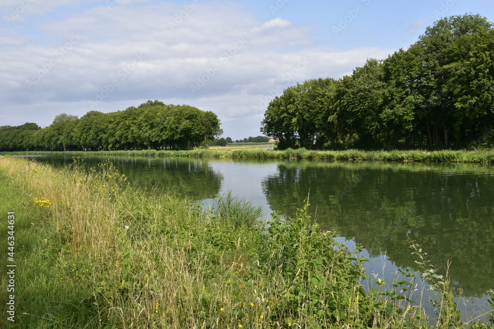Natur am Mittelland-Kanal bei Bückeburg