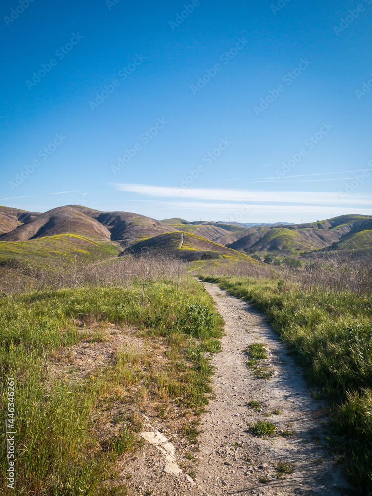 Enjoying Outdoor Trails in the Meadow Vertical