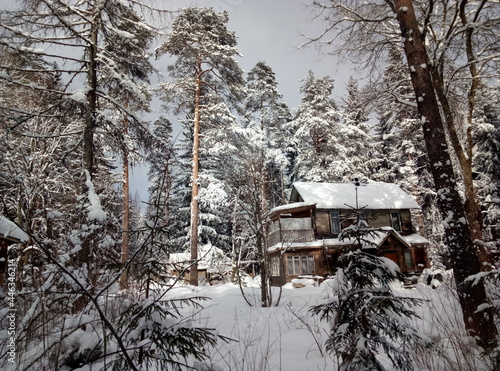 Old wooden two-story village house in the forest under snow in winter
