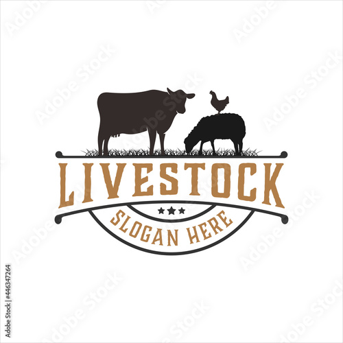 Retro livestock logo design, vector illustration	