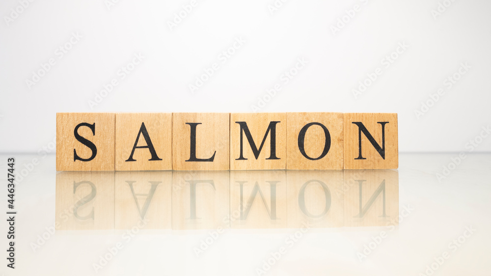 The name Salmon was created from wooden letter cubes. Seafood and food. The name Salmon was created from wooden letter cubes. Seafood and food.