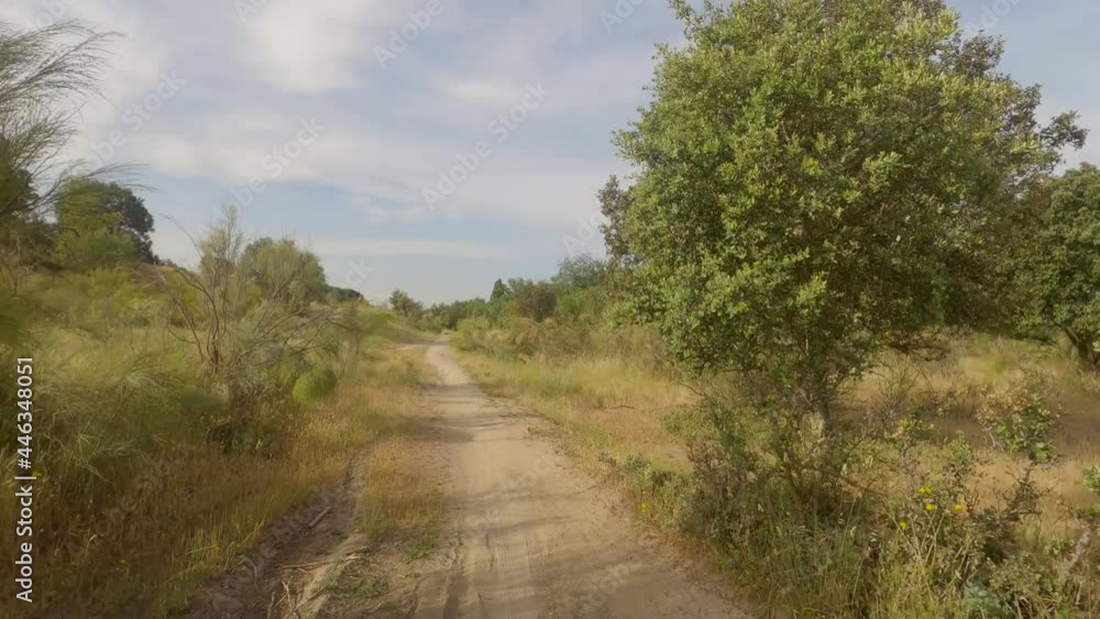 Road traveled by bicycle between scrubland in spring in Spain Road traveled by bicycle between scrubland in spring in Spain