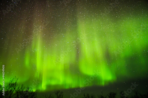 The Northern Lights Are On in Alaska! photo