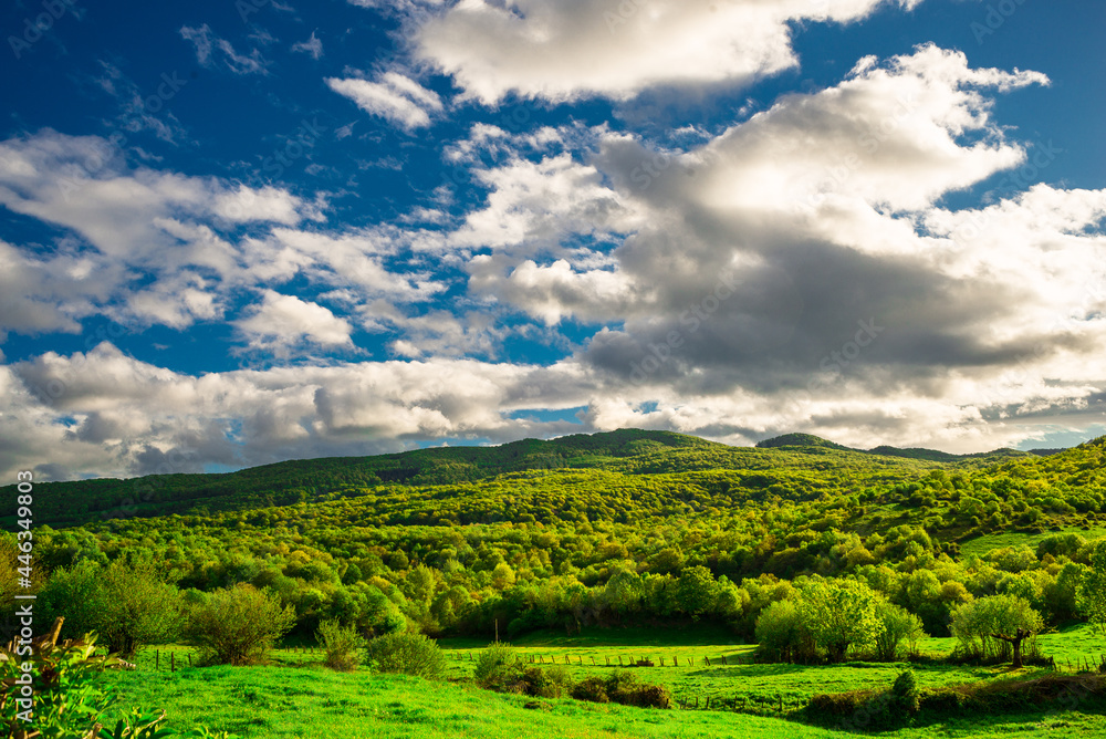 Green Field and Clouds in LECUMBERRI (NAVARRE)
