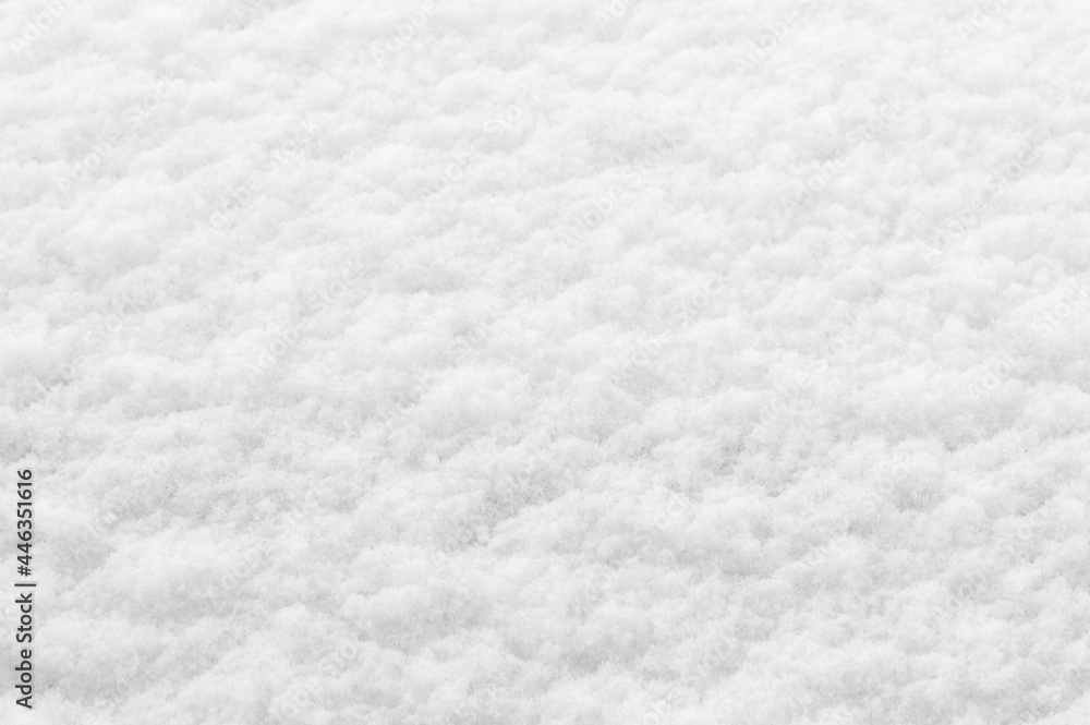 winter background: fresh clean even snow, large snowflakes