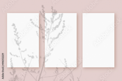 Natural light casts shadows from the plant on 3 vertical sheets of white textured paper format, lying on a pink textured background. Mockup