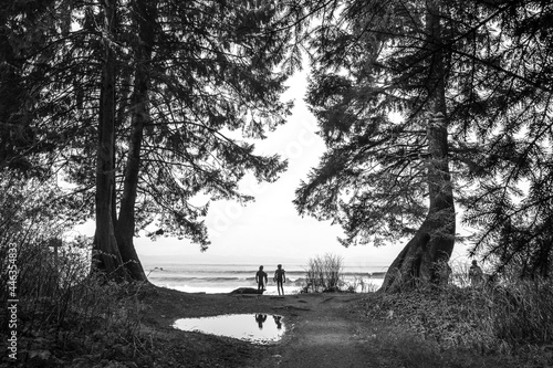 At a forest clearing, two surfers stand in silhouette and stare out at the ocean.
