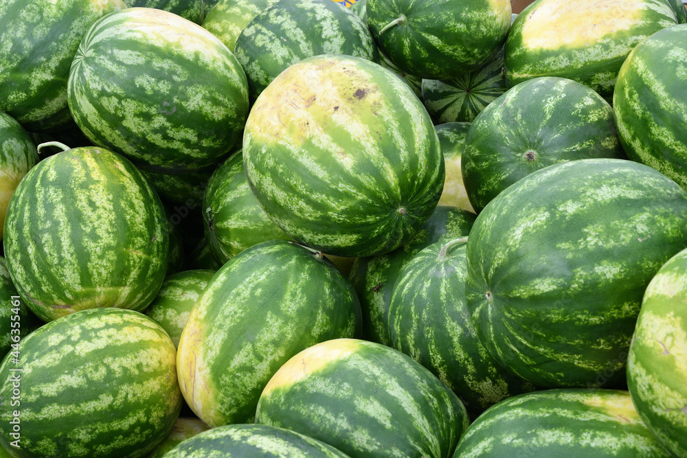 Ripe watermelons of the new harvest are sold in the bazaar Ripe watermelons of the new harvest are sold in the bazaar