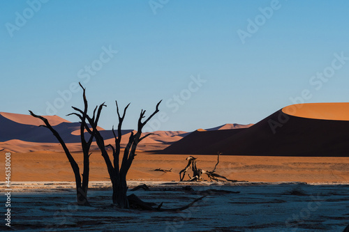 Surreal landscapes at Deadvlei in the Namib desert, Namib-Naukluft National Park, Namibia, Africa.
