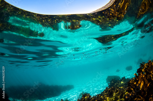 Underwater paradise, Jervis Bay, Australia © Gary