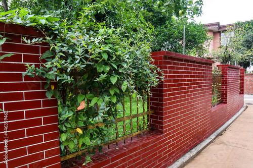 red brick wall with ivy