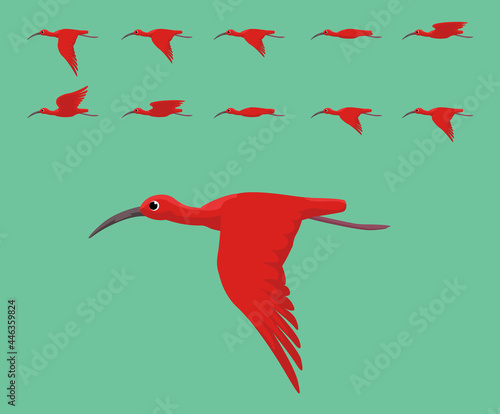 Animation Bird Scarlet Ibis Flying Cute Cartoon Vector Illustration