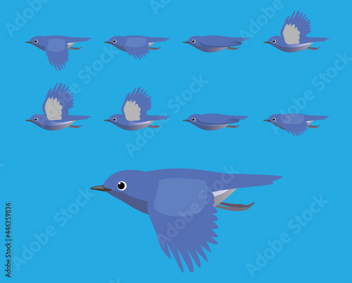 Bird Bluebird Flying Cartoon Vector Animation Frame