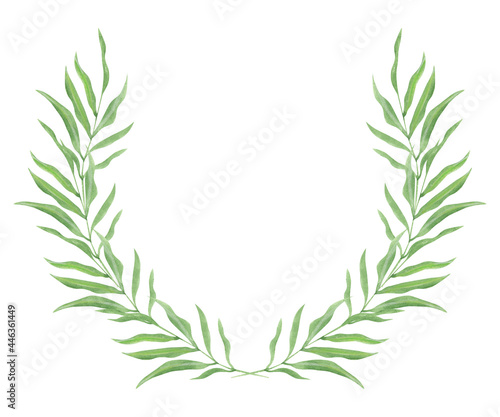 Illustration of a watercolor drawing of green leaves of plants on a white isolated background in the form of a floral semi circle