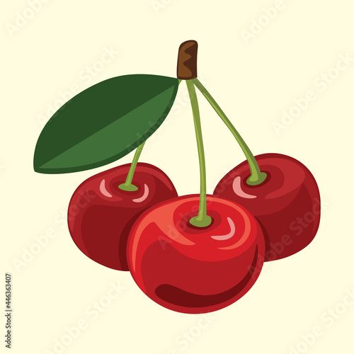 Cherry icon, isolated, bunch of ripe cherries in cartoon style, flat design,  vector illustration. 