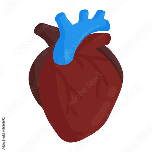 heart care for health color illustration