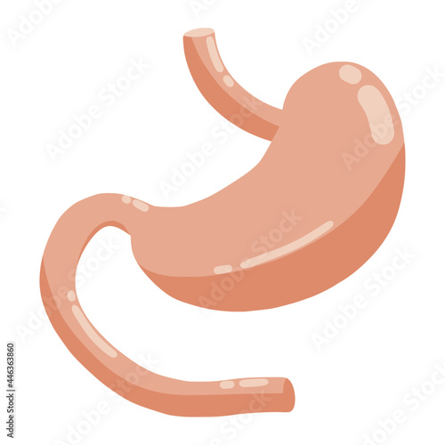 stomach care for health color illustration
